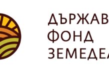 ДФЗ изплати над 32 млн. евро по де минимис на животновъди и растениевъди