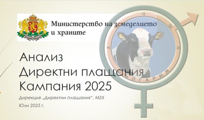временна
